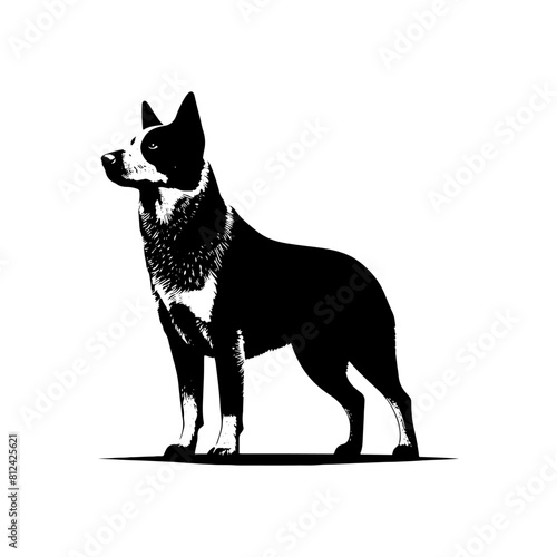 Australian Cattle Dog Silhouette - A Tribute to Rustic Resilience and Canine Wisdom- Vector of Australian Cattle Dog- Minimalist Australian Cattle Dog- Australian Cattle Dog Illustration.