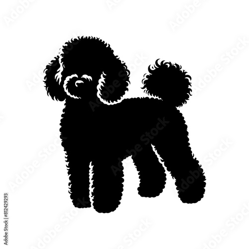 Bichon FRISE Silhouette- Bichon FRISE Illustration- Minimalist Bichon FRISE vector.