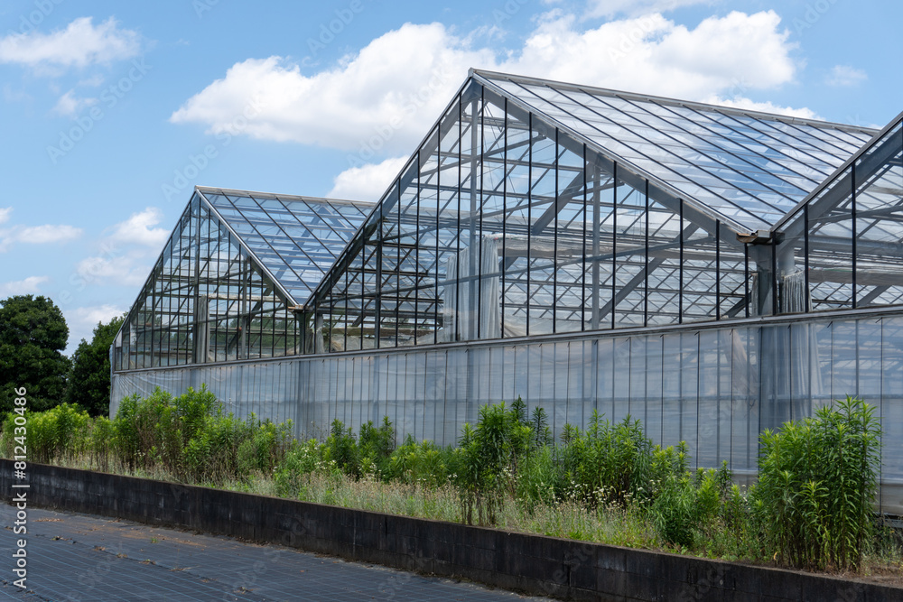 Plastic greenhouses and fields in Japan Plastic greenhouses and fields in Japan