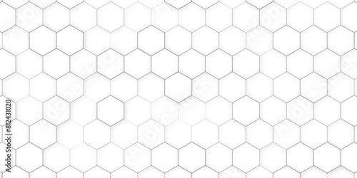 Abstract. Embossed Hexagon   honeycomb white Background  light and shadow  Vector  Abstract geometric white and gray color background. Vector illustration