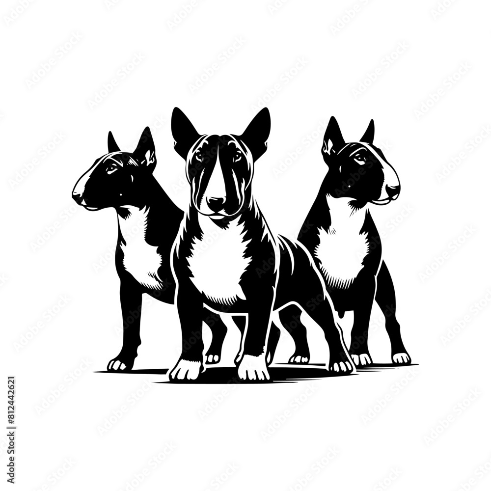 Obraz premium Bull Terrier Vector Silhouette- Bull Terrier Illustration- Minimalist Bull Terrier Vector.