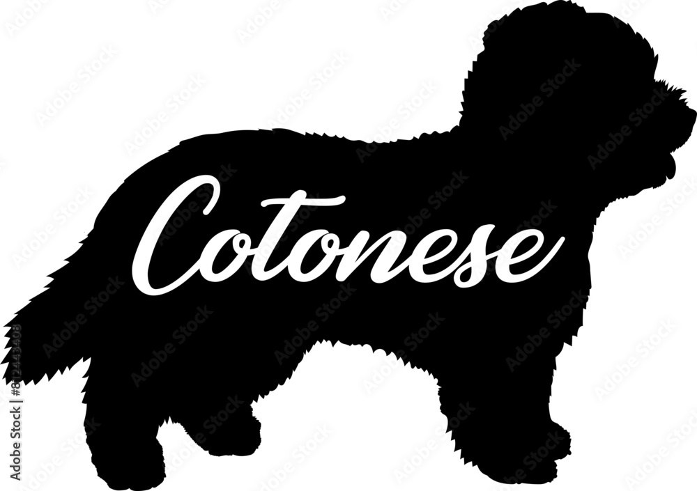 Cotonese. Dog silhouette dog breeds logo dog monogram vector Cotonese. Dog silhouette dog breeds logo dog monogram vector