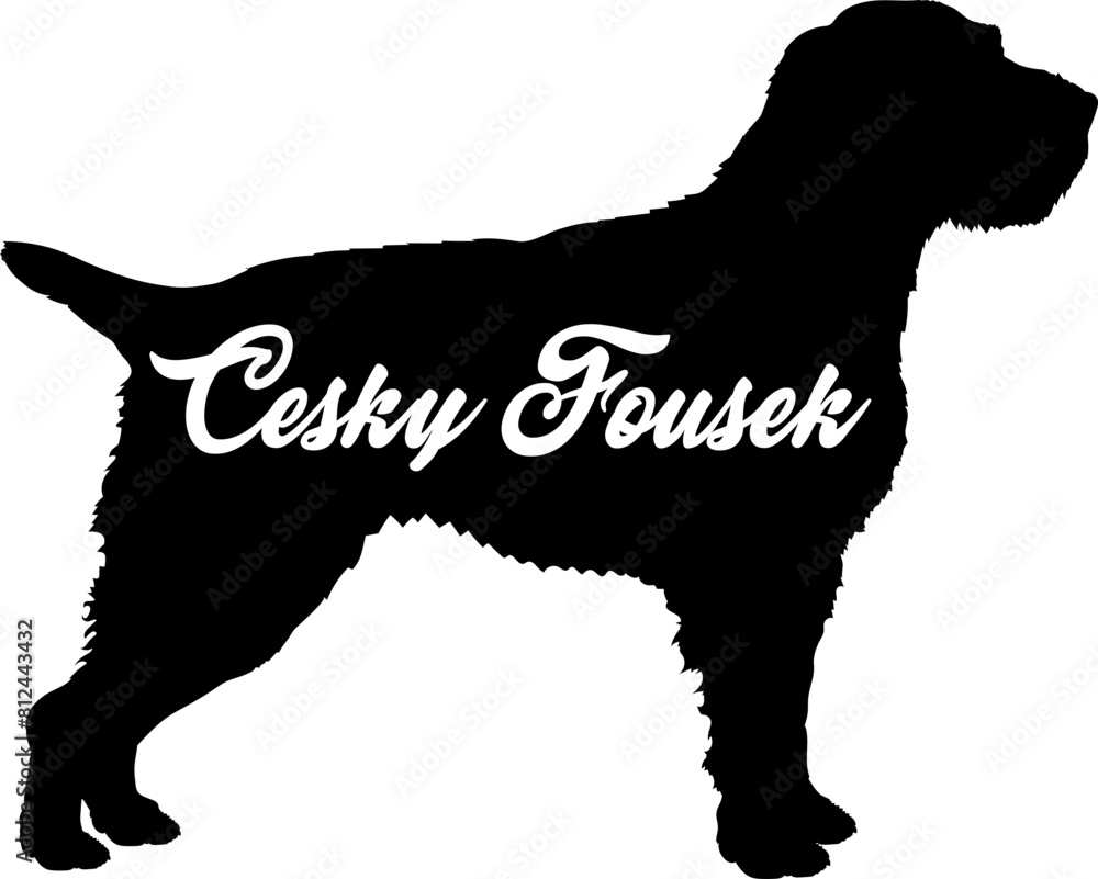Cesky Fousek Dog silhouette dog breeds logo dog monogram vector Cesky Fousek Dog silhouette dog breeds logo dog monogram vector