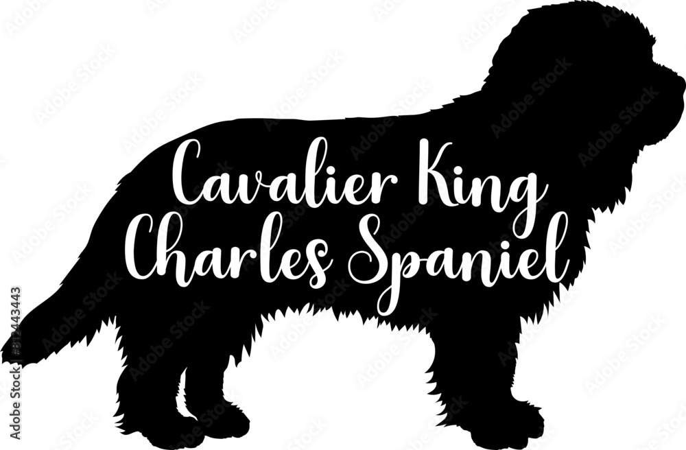 Cavalier King Charles Spaniel Dog silhouette dog breeds logo dog monogram vector Cavalier King Charles Spaniel Dog silhouette dog breeds logo dog monogram vector