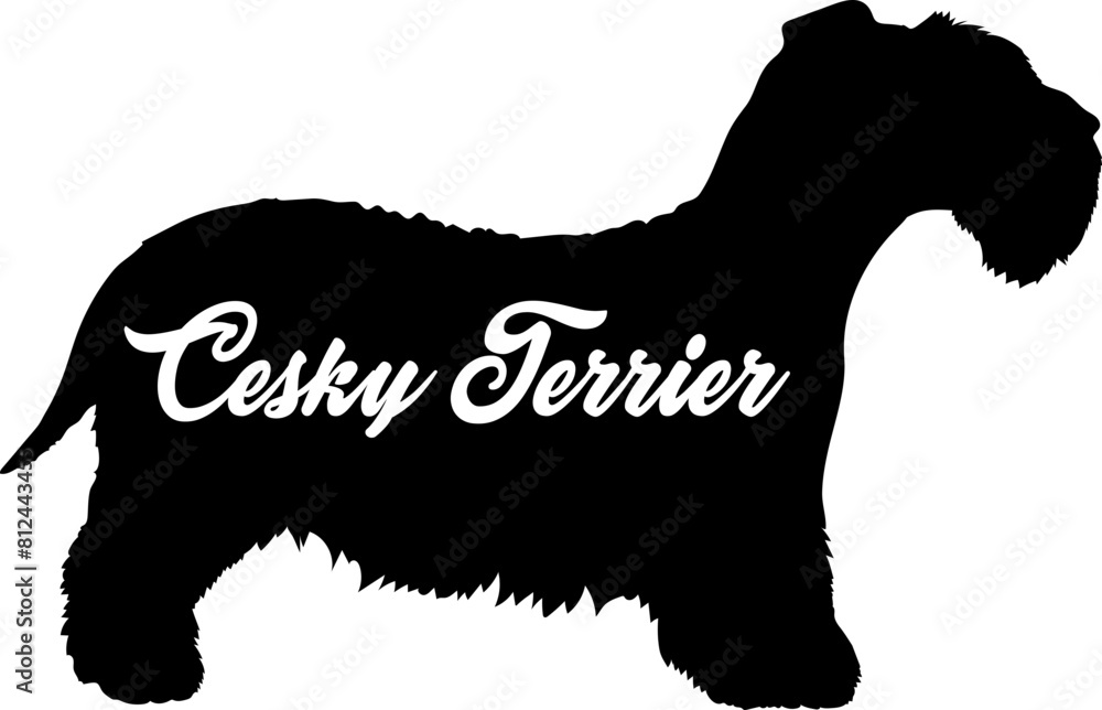 Cesky Terrier. Dog silhouette dog breeds logo dog monogram vector Cesky Terrier. Dog silhouette dog breeds logo dog monogram vector
