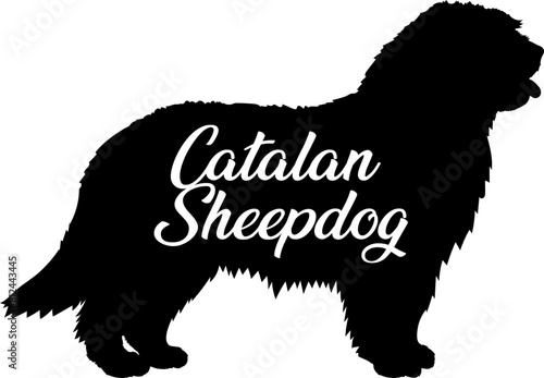 Catalan Sheepdog. Dog silhouette dog breeds logo dog monogram vector