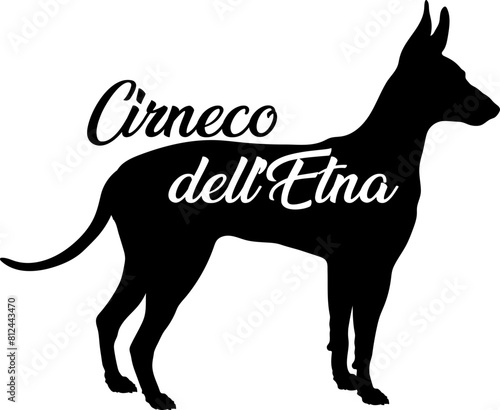  Cirneco dell’Etna. Dog silhouette dog breeds logo dog monogram vector photo