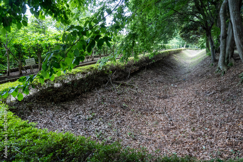 Around Akayama Castle (Akayama Historical Nature Park) photo