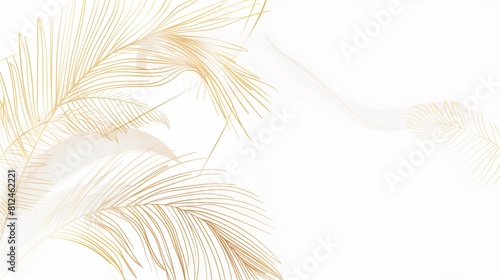 A palm tree with a white background featuring gold lines and leaves, website background, design template