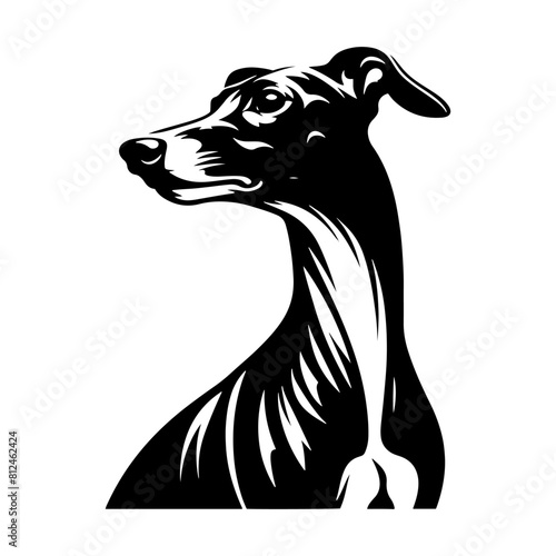 Italian Greyhound Silhouette - Graceful Lines Capture the Beauty and Speed of this Elegant Breed- Italian Grey Hound Illustration- minimalist Italian grey hound vector.
