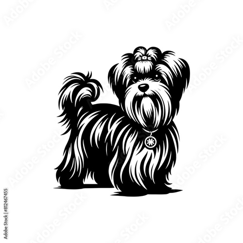 Maltese Dog Silhouette - Capturing the Delicate Beauty and Elegance of this Beloved Companion Breed- Minimalist Maltese Dog vector - Maltese Dog Illustration.