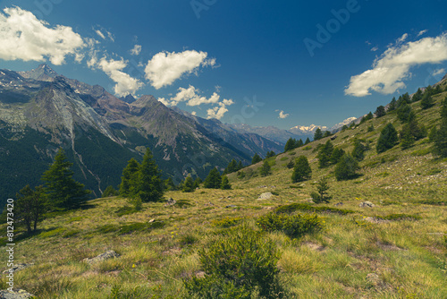 Mountains over the town of Cogne, near Gran Paradiso National Park © zakaz86