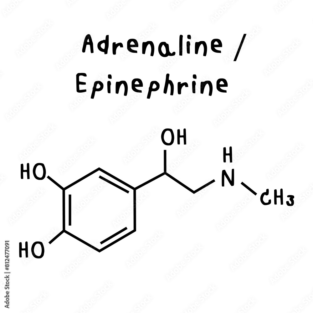 adrenaline or epinephrine illustration adrenaline or epinephrine illustration