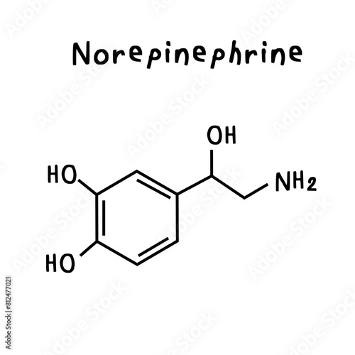 norepinephrine illustration photo