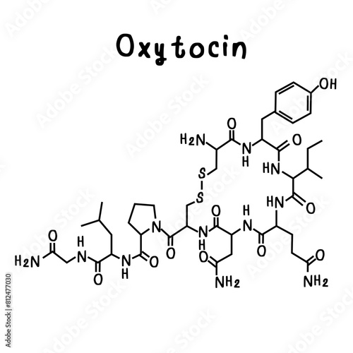 oxytocin illustration