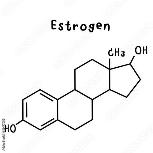 estrogen  illustration photo