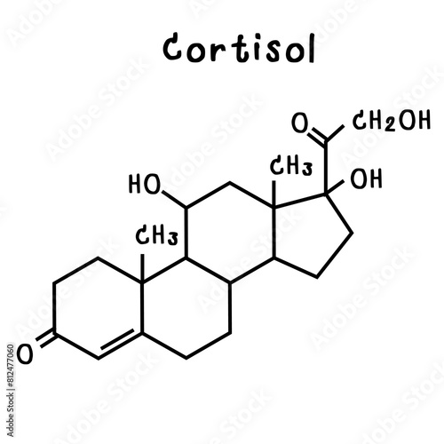 cortisol illustration