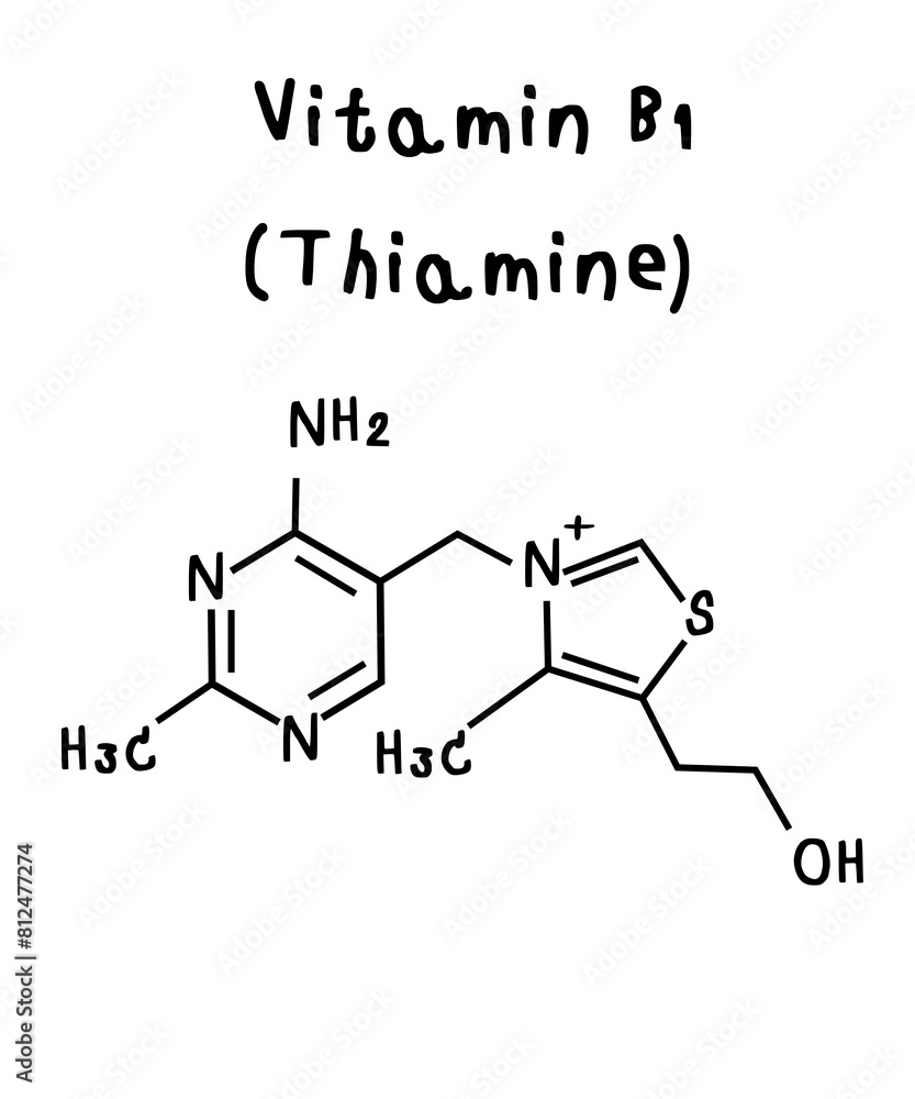 Fototapeta premium Vitamin B1_Thiamine illustration