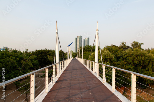 Canvas Print View of the bridge in the park