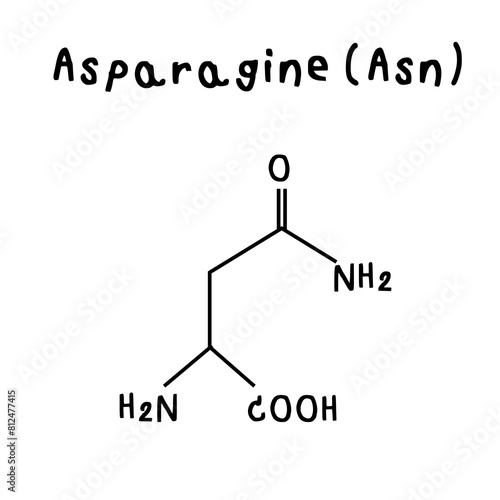 asparagine  chemical structure illustration photo