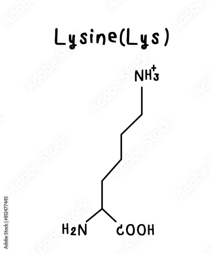 Lysine chemical structure illustration