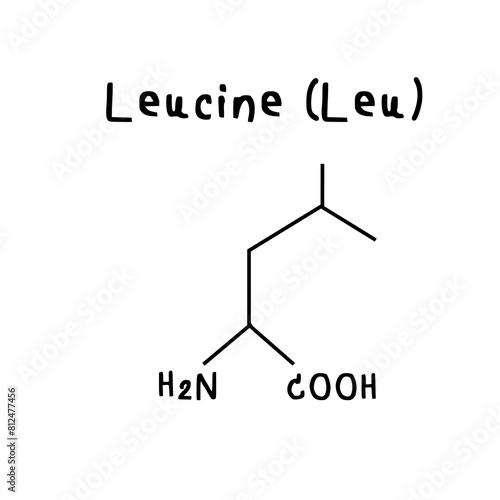 Leucine chemical structure illustration
