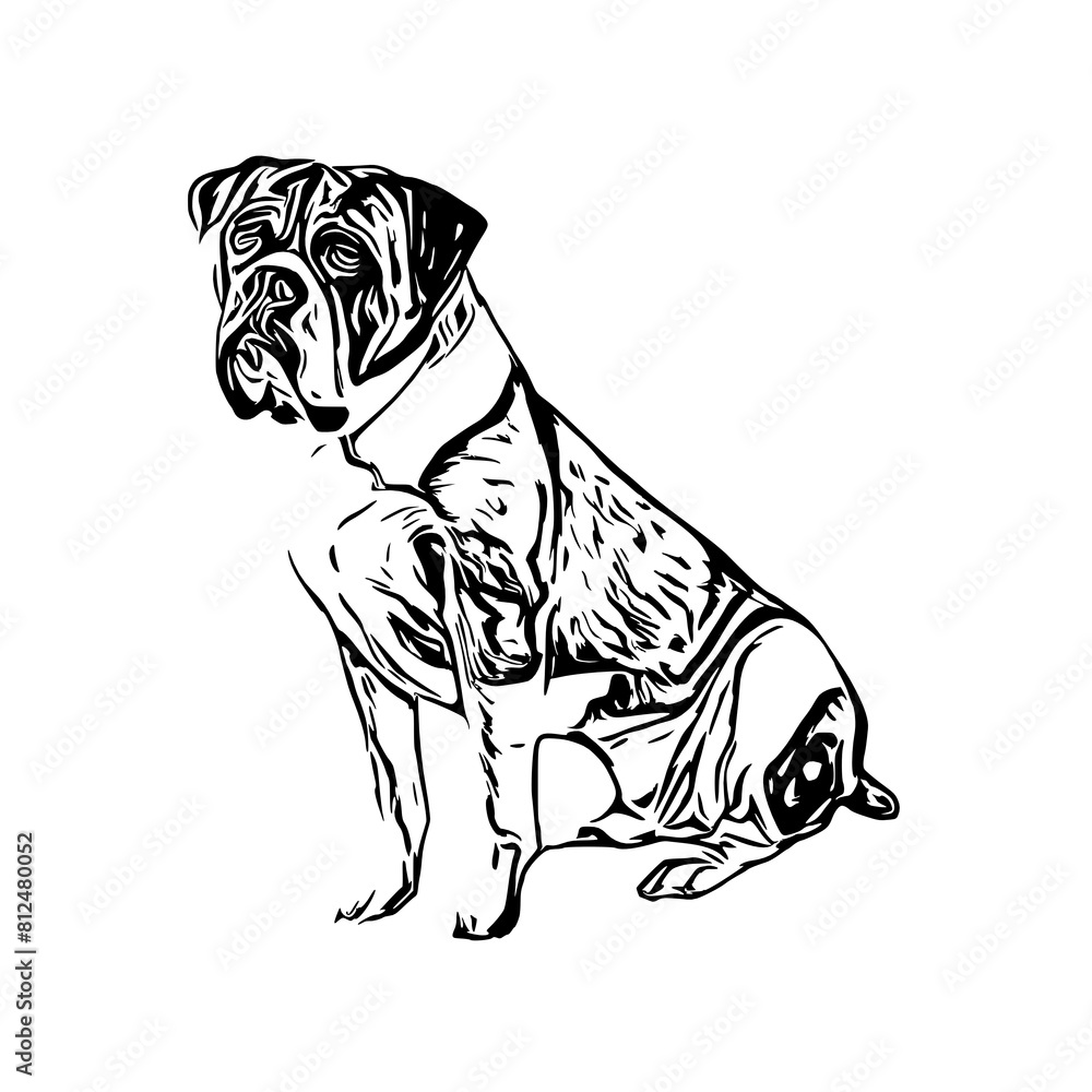 sketch of a dog with a transparent background sketch of a dog with a transparent background
