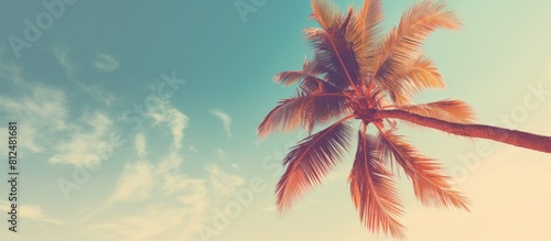 A tropical palm tree against a sunny sky background with space for adding a personal touch Perfect for conveying ideas of summer vacations and exploring nature The vintage tone filter adds a nostalgi
