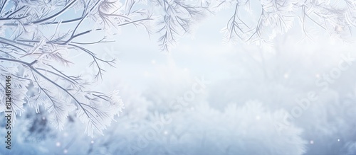 Snow covered fir branches hanging in a winter landscape with plenty of copy space image