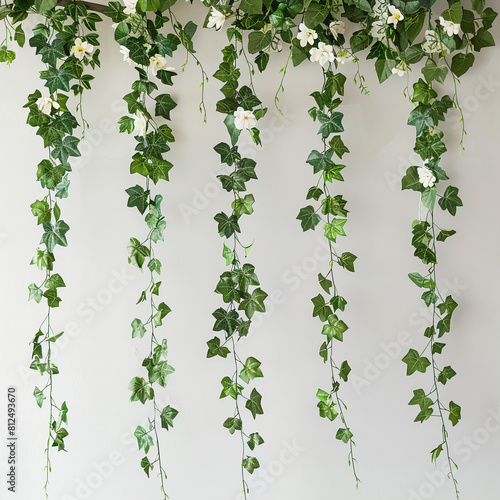 Wallpaper Mural Hanging Ivy Vines and Flowers Clipart on White Background Torontodigital.ca