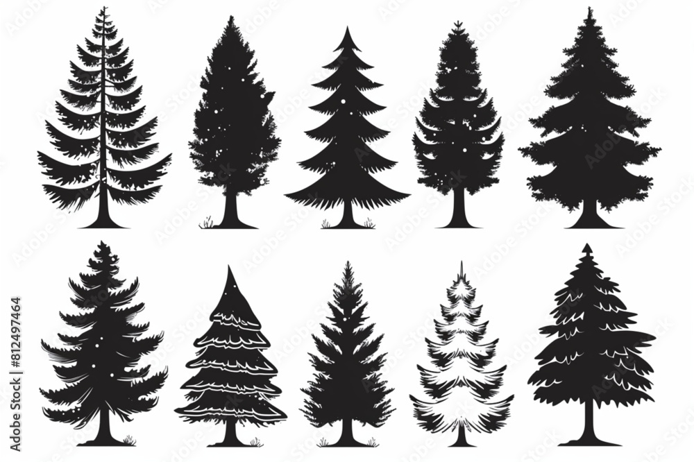 
Black vector icons set of pine tree, Christmas trees on white background with reflection. Vector illustration