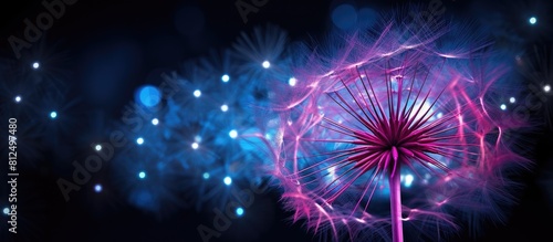 Abstract copy space image of a large dandelion illuminated by neon pink and blue lights set against a dark background Suitable for graphic designs and desktop wallpapers featuring plants © HN Works
