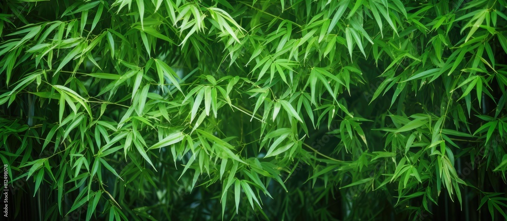 The image showcases a beautiful arrangement of bamboo leaves providing ample copy space The image showcases a beautiful arrangement of bamboo leaves providing ample copy space