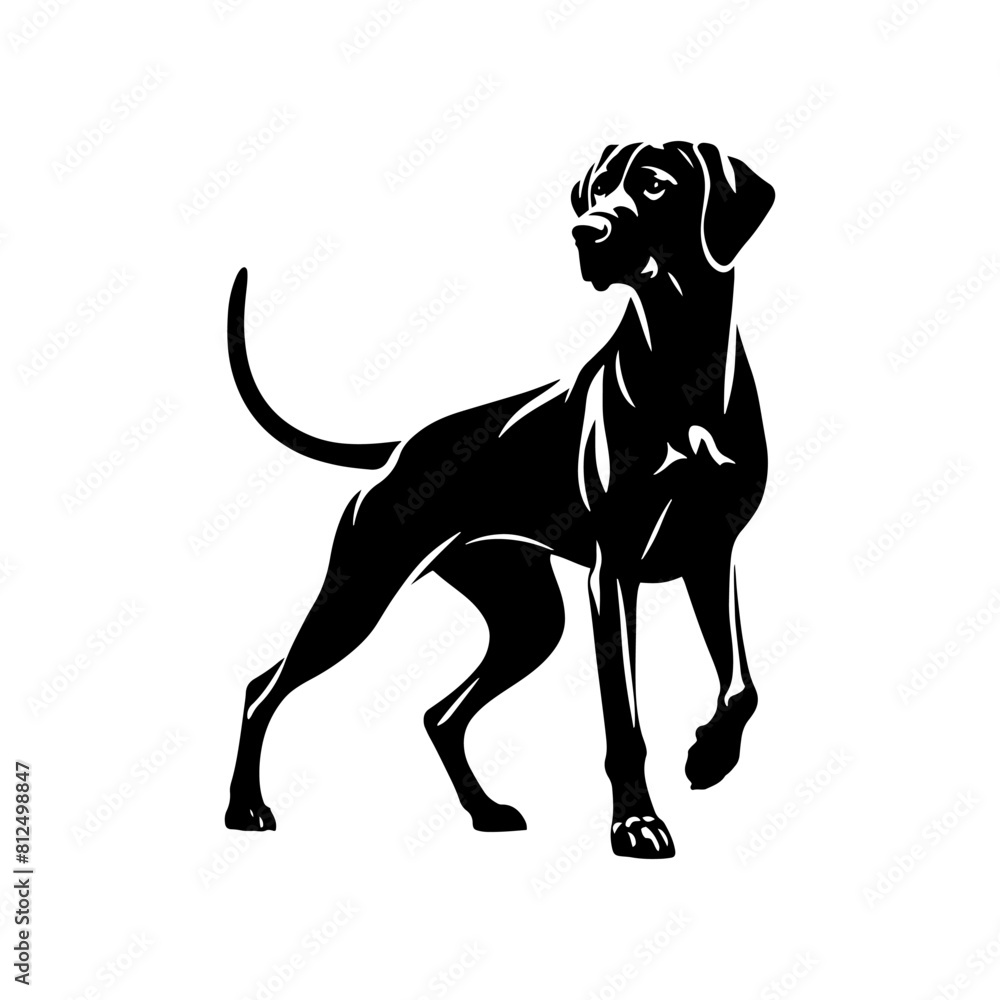 Obraz premium Silhouette of Rhodesian Ridgeback - Minimalist Rhodesian Ridgeback Vector - Rhodesian Ridgeback Illustration.