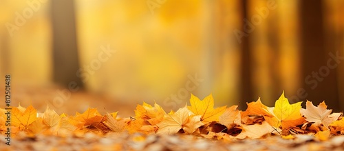 A pile of autumn leaves falling providing a perfect copy space image