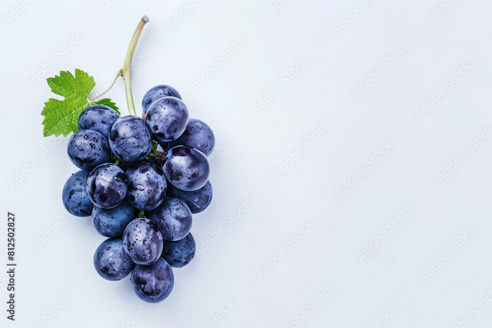Isolated Blue Grapes Bunch on White Background Isolated Blue Grapes Bunch on White Background