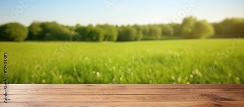 Wooden deck table placed against a green field background creating an empty material for a product display montage Copy space image