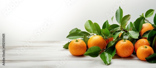 Fototapeta Naklejka Na Ścianę i Meble -  Seasonal fruits such as vibrant tangerines or clementines abundantly adorned with leaves showcased on a white wooden background creating a refreshing copy space image