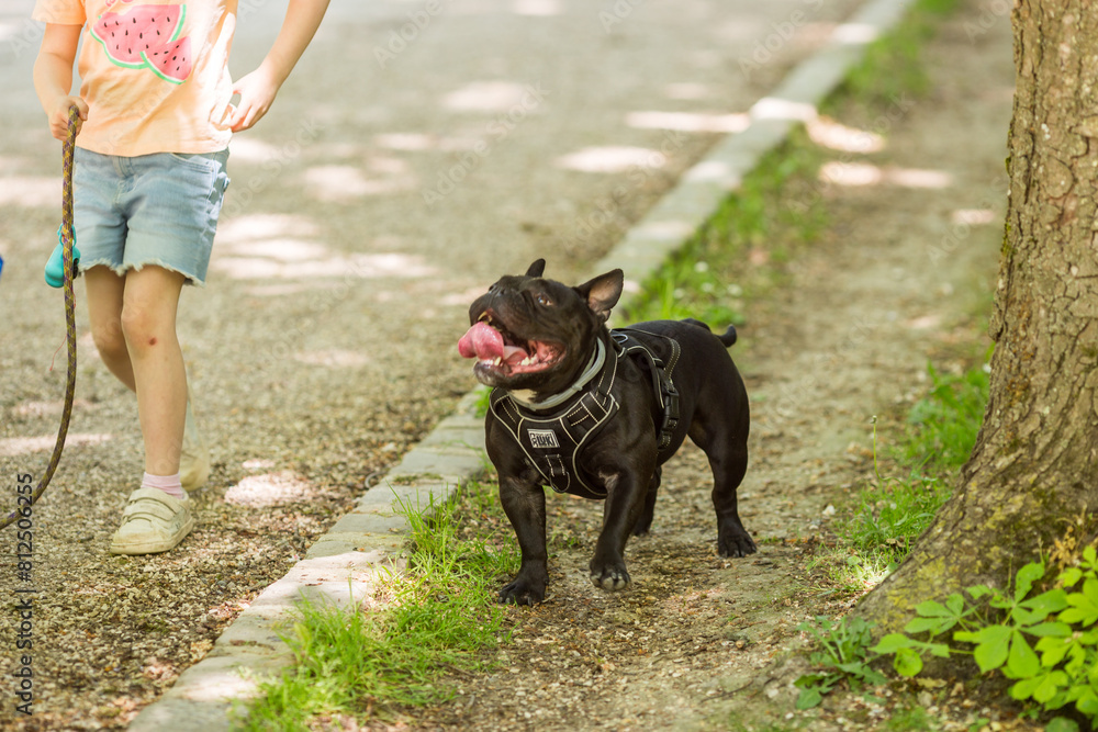 person with dog person with dog