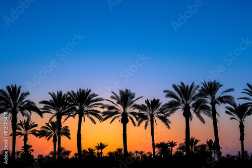 View of silhouette palm trees against blue sky during sunset © Areesha