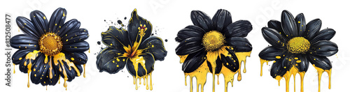 Black flowers yellow paint dripping cutout set photo
