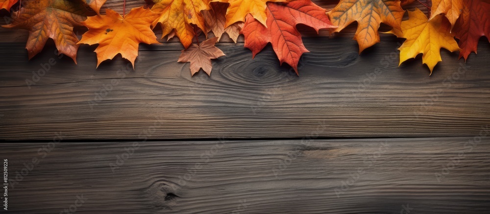 A fall themed arrangement of leaves on a wooden surface captured from a top down perspective in a flat lay style with empty space available for text or other elements in the image. Creative banner A fall themed arrangement of leaves on a wooden surface captured from a top down perspective in a flat lay style with empty space available for text or other elements in the image. Creative banner