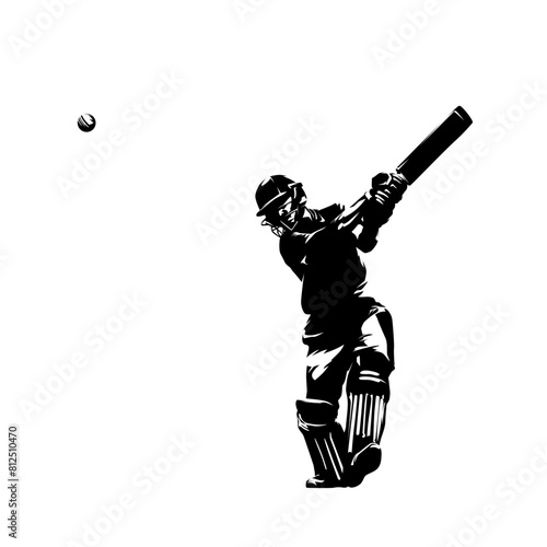 Cricket player  batsman  in action  isolated vector silhouette  front view