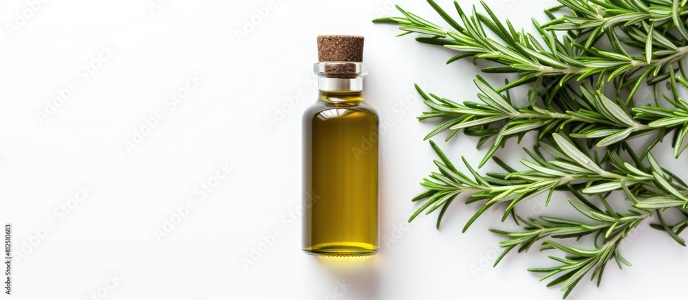 A top view of a bottle of rosemary essential oil isolated on a white background The image represents medical herbs and serves as a design concept with copy space for text A top view of a bottle of rosemary essential oil isolated on a white background The image represents medical herbs and serves as a design concept with copy space for text