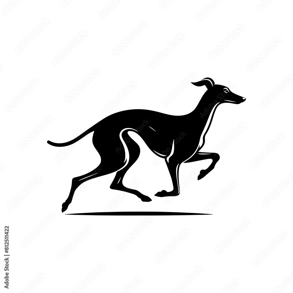 Fototapeta premium Running Whippet Dog Vector Silhouette - Graceful Agility and Energetic Spirit of this Athletic Canine- Running Whippet Dog Illustration- Minimalist Running Whippet Dog.