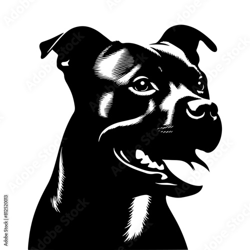 Staffordshire Bull Terrier Vector Silhouette - Capturing Strength and Courage in Simplistic Elegance- Minimalist Staffordshire Bull Terrier- Illustration of Staffordshire Bull Terrier. photo