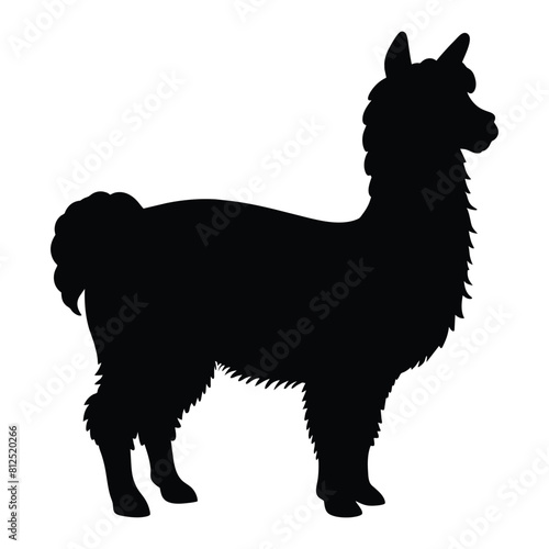 silhouette of a alpaca animal