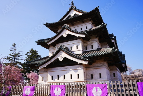 Hirosaki Castle surrounded by Pink Sakura or Cherry Blossom in Aomori, Japan - 日本 青森 弘前城 桜の花 