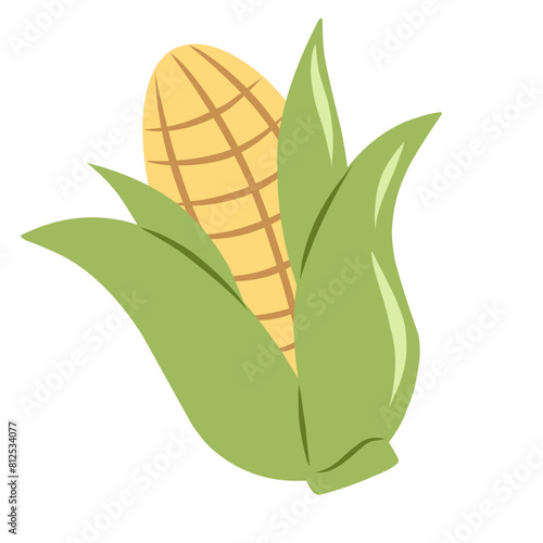 corn and leaves