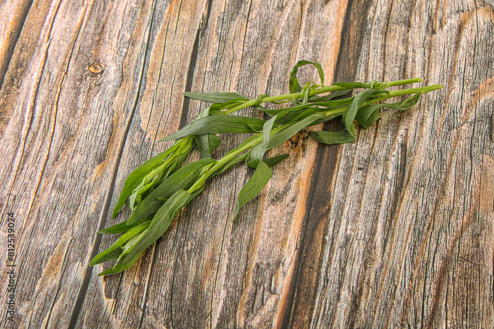 Green tarragon herb spice for cooking Green tarragon herb spice for cooking